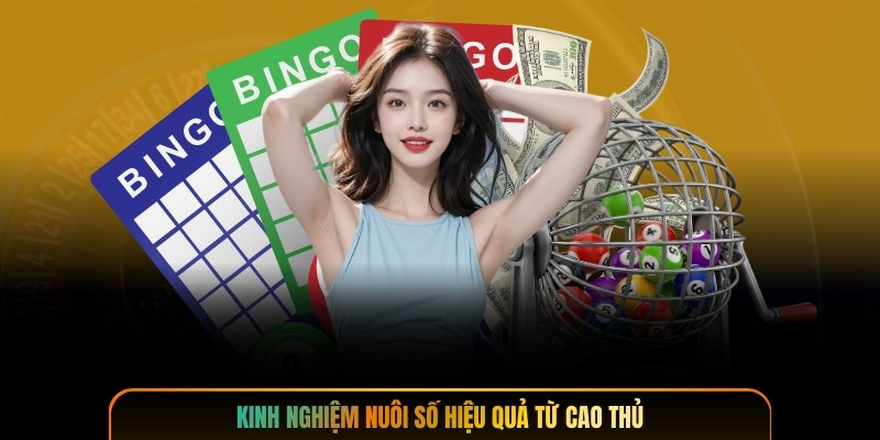 Kinh nghiệm nuôi số hiệu quả từ cao thủ